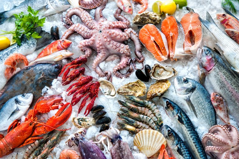 How to Keep Seafood in Your Restaurant Correctly